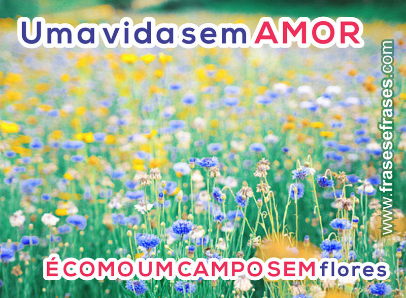 Uma vida sem AMOR é como um campo sem FLORES